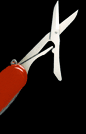Army knife